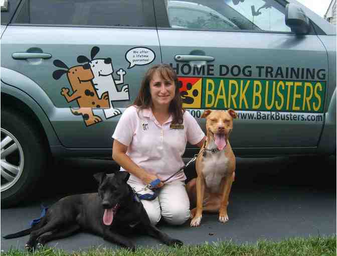 Bark Busters of Collegeville - One Free in-Home Lesson and Gift Basket