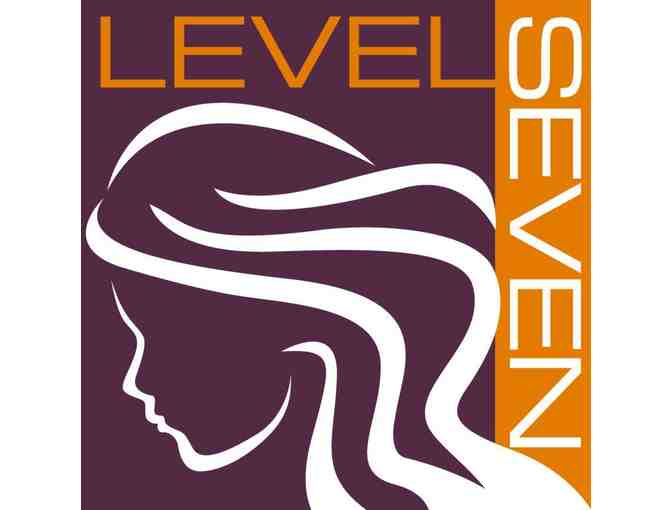 Level Seven Salon - $25 Gift Card and Product Sample Set