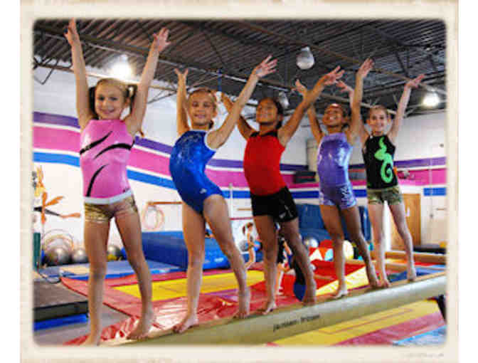 Aerials Fit 'n' Fun Gymnastics - One Month Recreational Gymnastics Class
