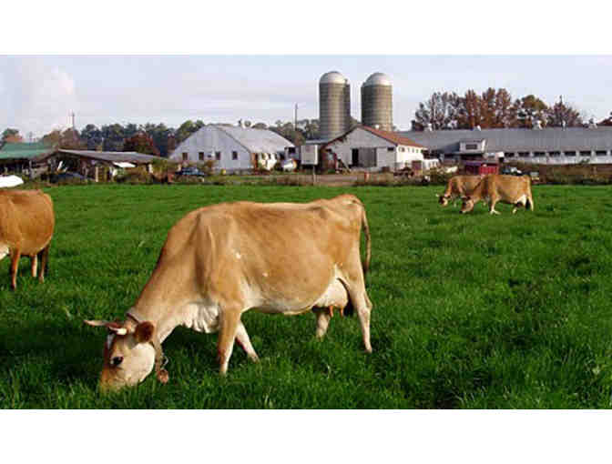 Seven Stars Farm - One Case of Yogurt