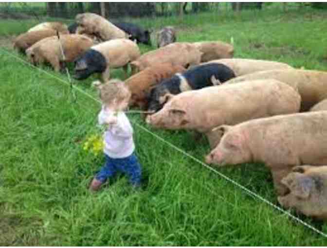 Snouts and Sprouts Farm, Pasture-Raised Meats - 12 lb Bulk Box of Organic Chicken Cuts