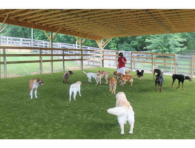 Wagsworth Manor Pet Resort - Gift Certificate for One Day of Dog Day Camp and Bath
