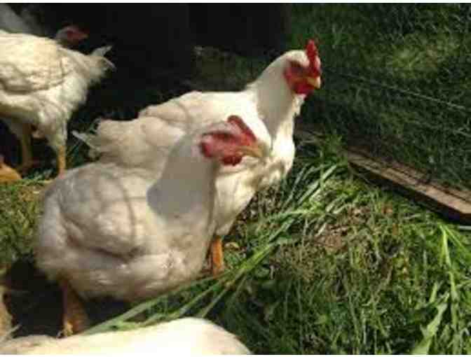 Snouts and Sprouts Farm, Pasture-Raised Meats - 12 lb Bulk Box of Organic Chicken Cuts