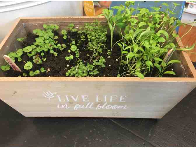 Charlestown Playhouse Blue Room - Gardening Basket