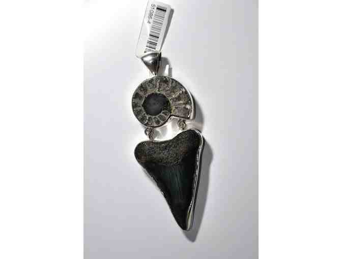 Pendant - Fossilized Sharks Tooth w/Ammonite - Cord Included