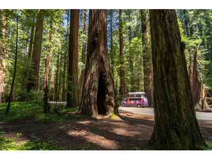 Escape Campervan 3-Day Rental & National Parks Pass
