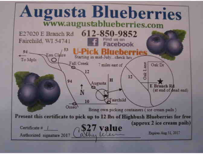 Discover Augusta, WI: Blueberries, Bakery, and Shopping at the Wood Shed!