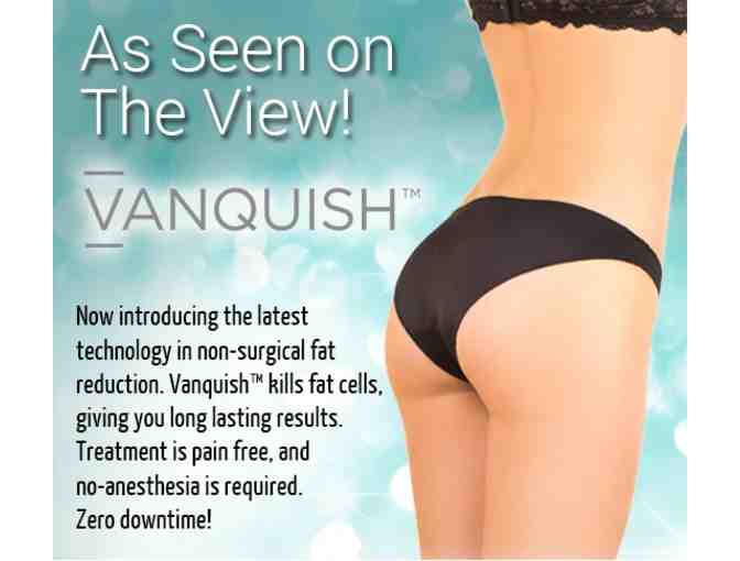 Vanquish Package-New Fat Melting Procedure