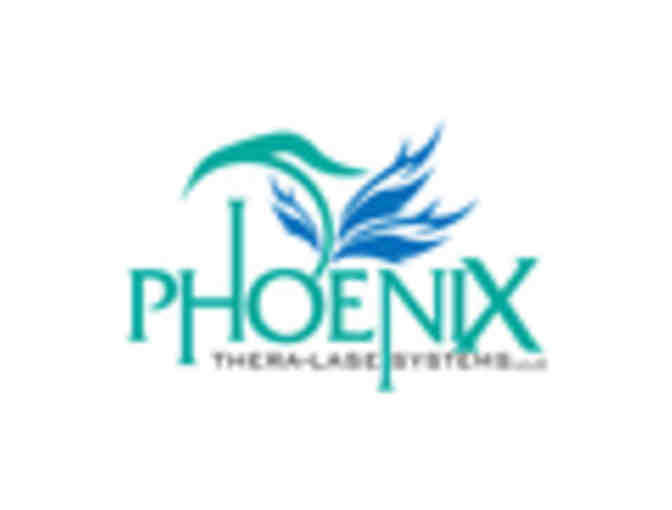 Phoenix Thera-Lase Systems - Photo 1