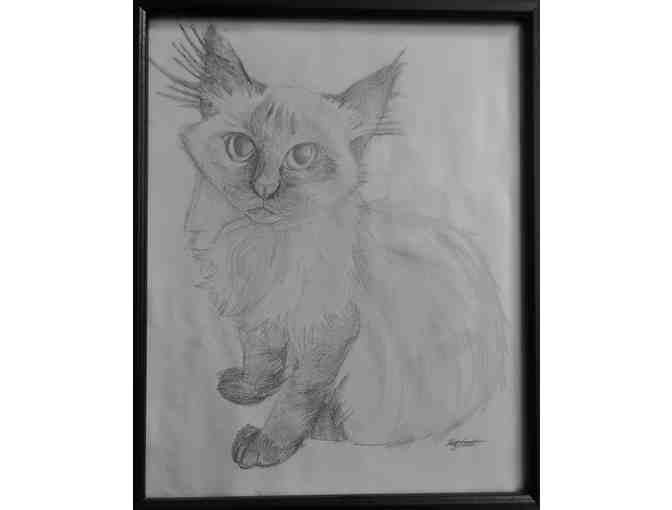 Custom Pet Pencil Drawn Portrait
