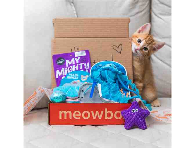 Cat Playtime Package