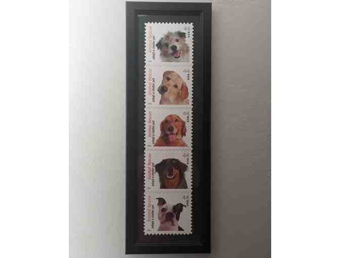 Animal Rescue Postage Stamp Memorabilia