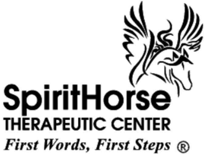 SpiritHorse Therapeutic Horseback Riding Lesson