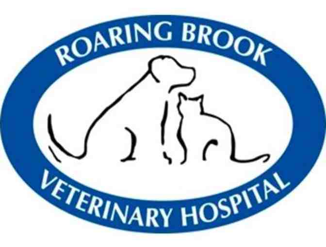 Roaring Brook Veterinary Hospital - 1 Exam & 2 Vaccines