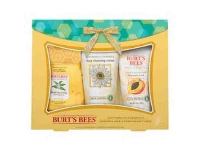 Burt Bees & Wella Products Gift Basket