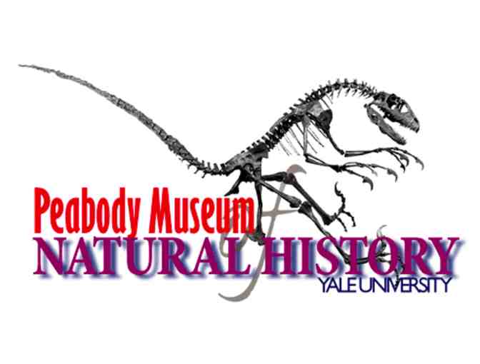 Yale Peabody Museum of Natural History - Admission for 5