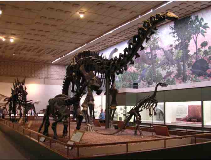 Yale Peabody Museum of Natural History - Admission for 5