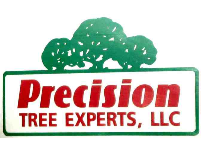 Precision Tree Experts - $500 of Tree Work