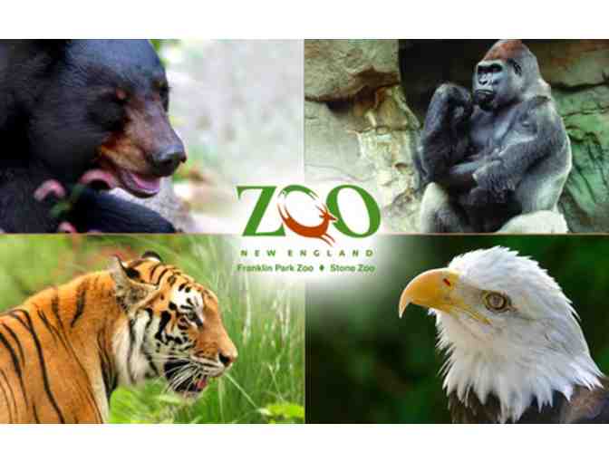 Zoo New England | Franklin Park Zoo & Stone Zoo Admission Tickets