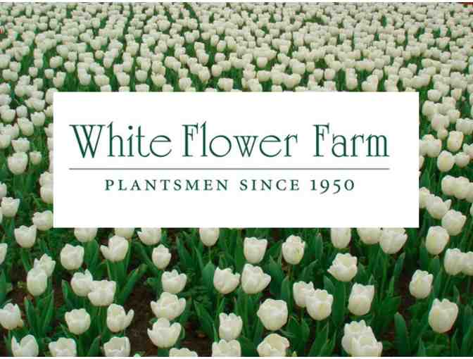 White Flower Farm Certificate