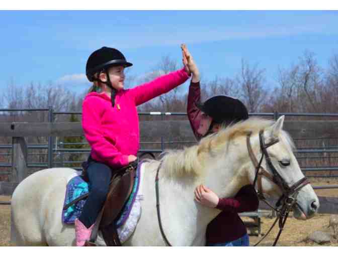 SpiritHorse Therapeutic Horseback Riding Lesson