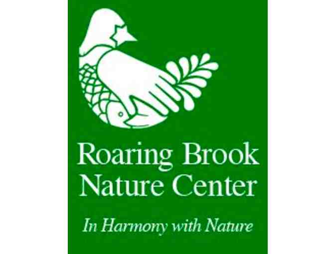 Roaring Brook Nature Center Birthday Party