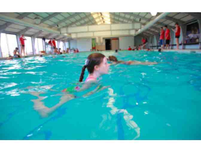 The School of Swimming - 1 Session of Swimming Lessons