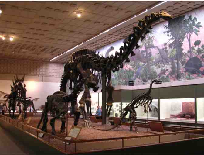 Yale Peabody Museum of Natural History - Admission Tickets