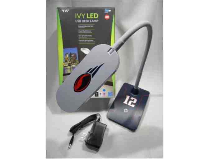 Tom Brady - TW Ivy LED USB Desk Lamp
