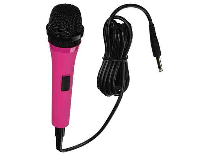 Singing Machine Karaoke System & Extra Microphone