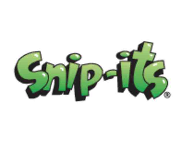 Snip-its Children's Shampoo & Manic Panic Hair Dye