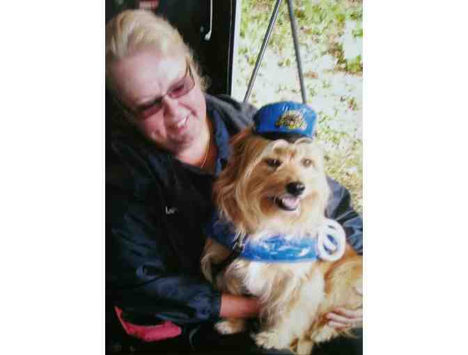 Ride in the Memorial Day Parade or on First Day of School with Avon-Canton Animal Control - Photo 2