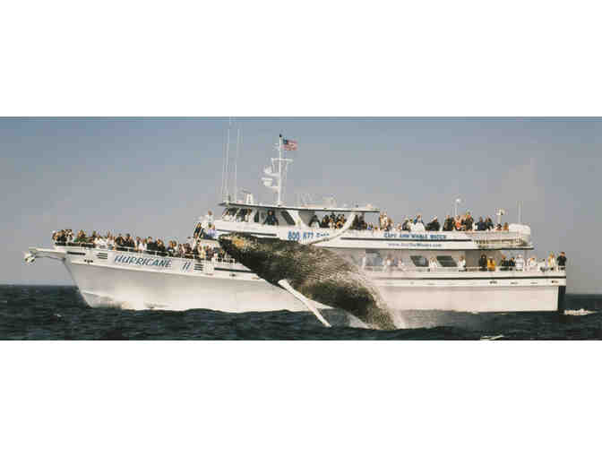 Cape Ann Whale Watch Tickets for Two - Photo 1