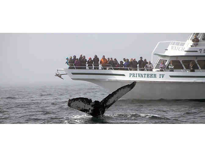 Seven Seas Whale Watch Family Four Pack