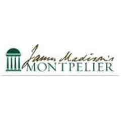 The Montpelier Foundation