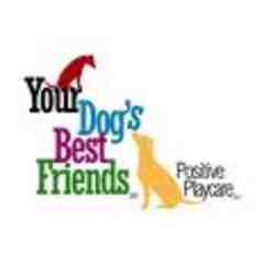 Your Dog's Best Friends