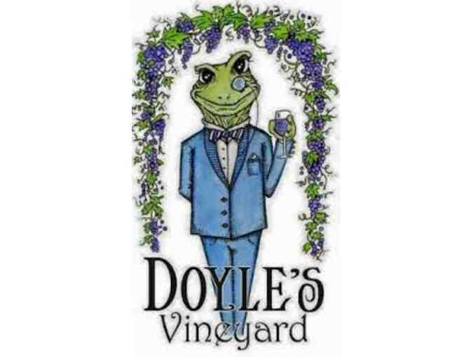 Doyle's Vineyard Wine Tasting for 12
