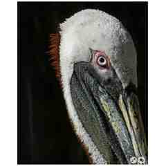 Kenneth Johnston Art