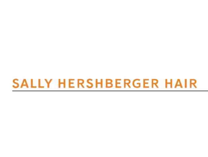 Wash, Cut, and Dry at Sally Hershberger Salon