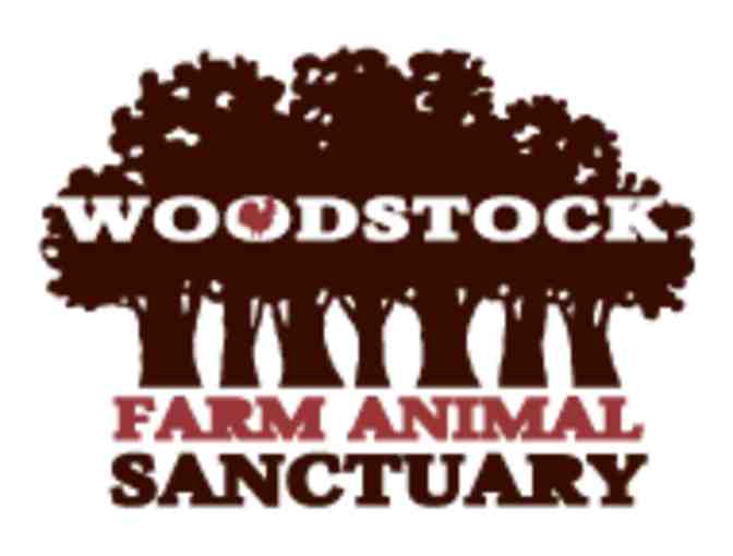 Woodstock Farm Animal Sanctuary Private Tour