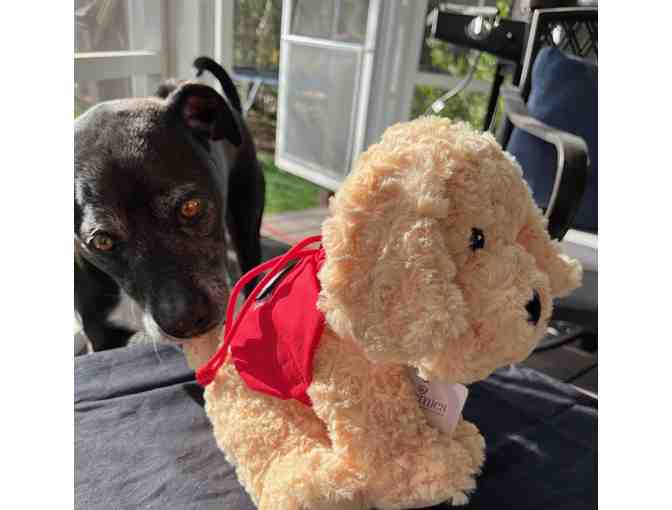 Get your very own Service Dog ... Stuffie! - Photo 2
