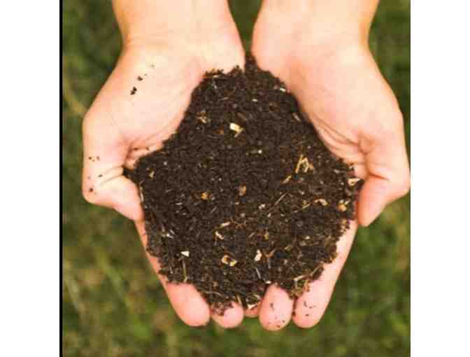 Black Gold Composted Cow Manure