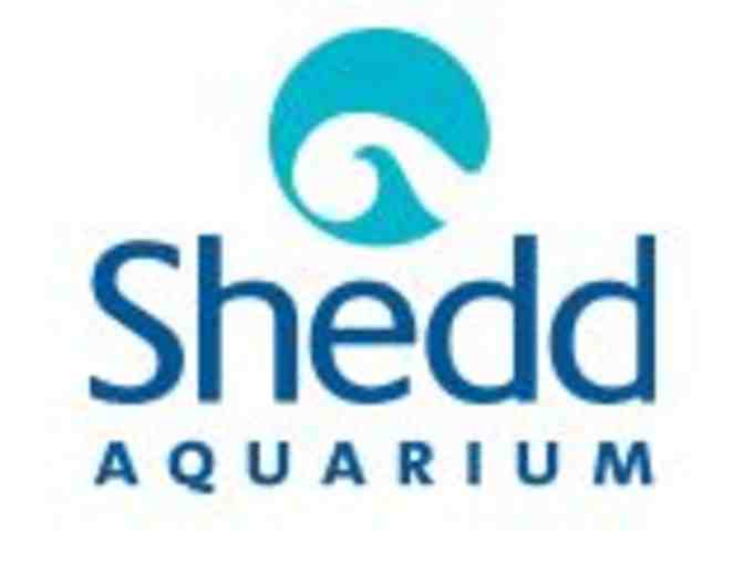 Total Experience Passes to The Shedd Aquarium