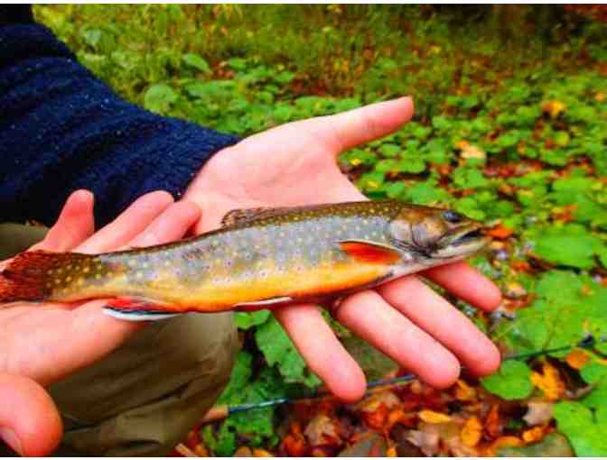 2 Nights Stay at Elk Springs Resort in WV