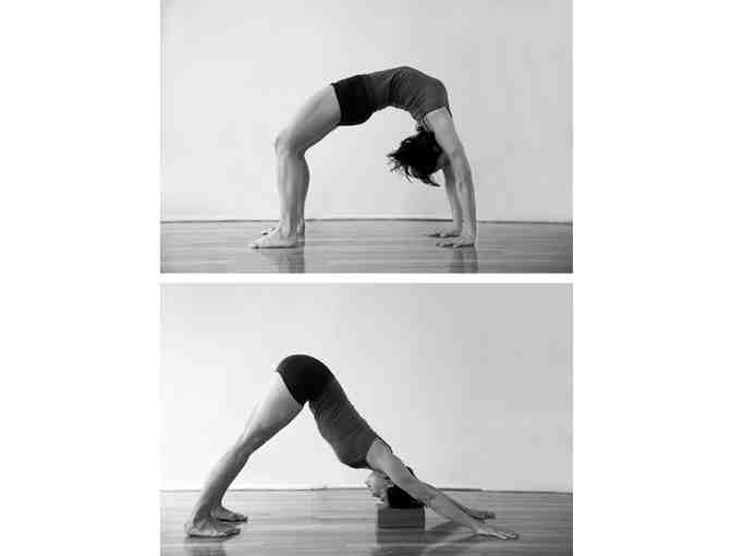 Studio Spine:Four class card for Iyengar Yoga classes with Neta Katz