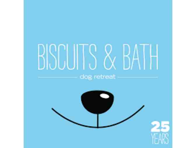 Biscuits and Bath: 1 Gold Membership, 1 Bath and 1 Day of Dog Care