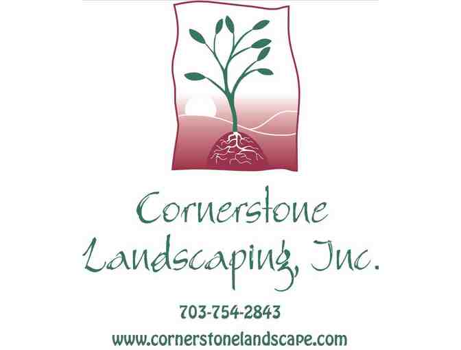 Free Landscape Consultation with design of one specific area