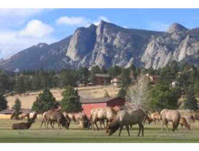 Bramlet's Backwoods Cabin- Beautiful Estes Park, Colorado for Year Around Adventure!