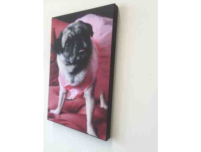 A 12 x 18 Stretch Canvas of Your Beloved Pet from Your Favorite Photograph!
