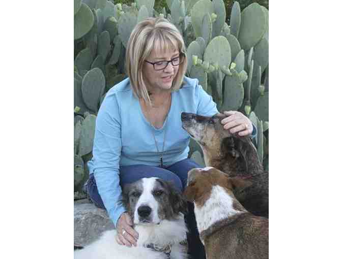 Mary Helen Schmidt Helps You Understand Your Pet's Behavior!